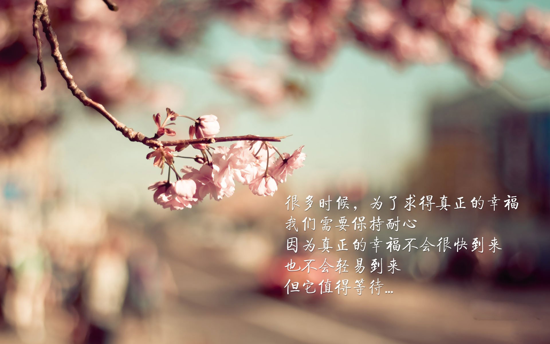 开云竞猜官网-中前场控球点重叠是否导致节奏冲突问题，控球前锋打法