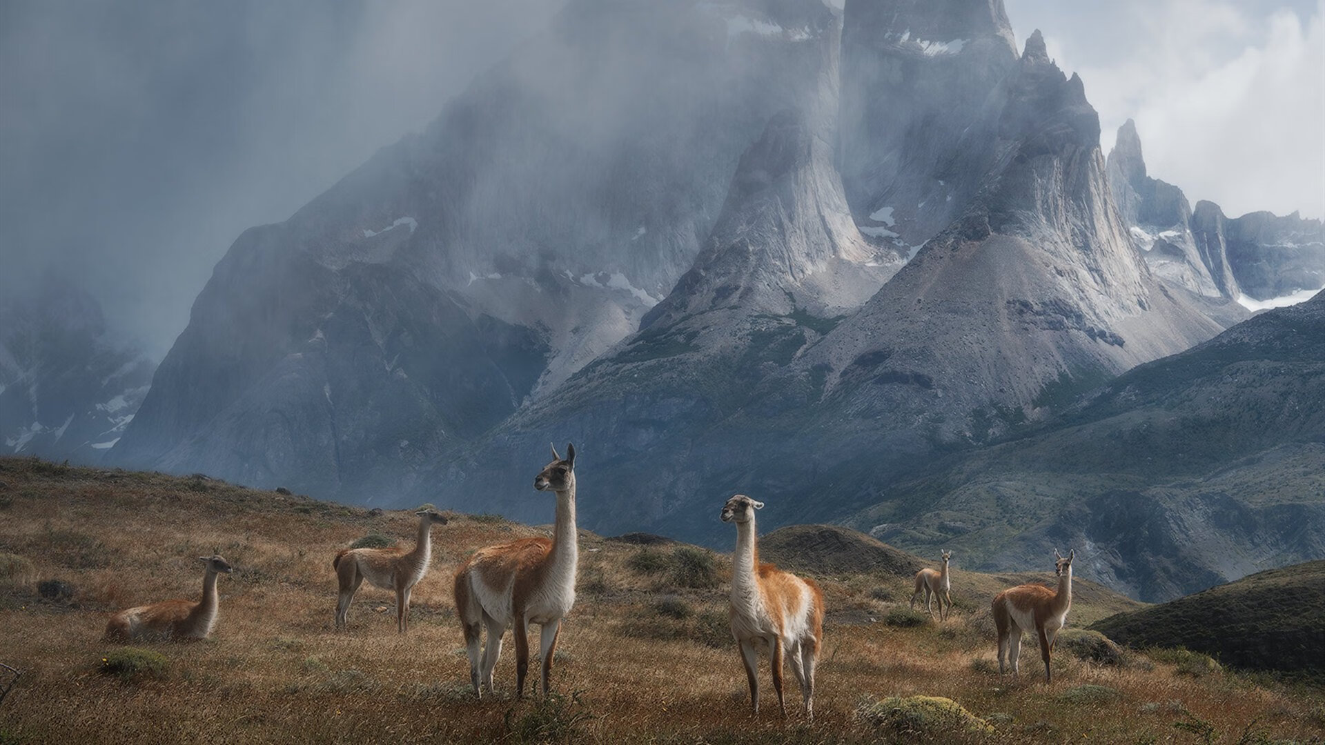 开云首页登录-东亚杯国足惨败 球迷发声要求改革，中国足球东亚杯