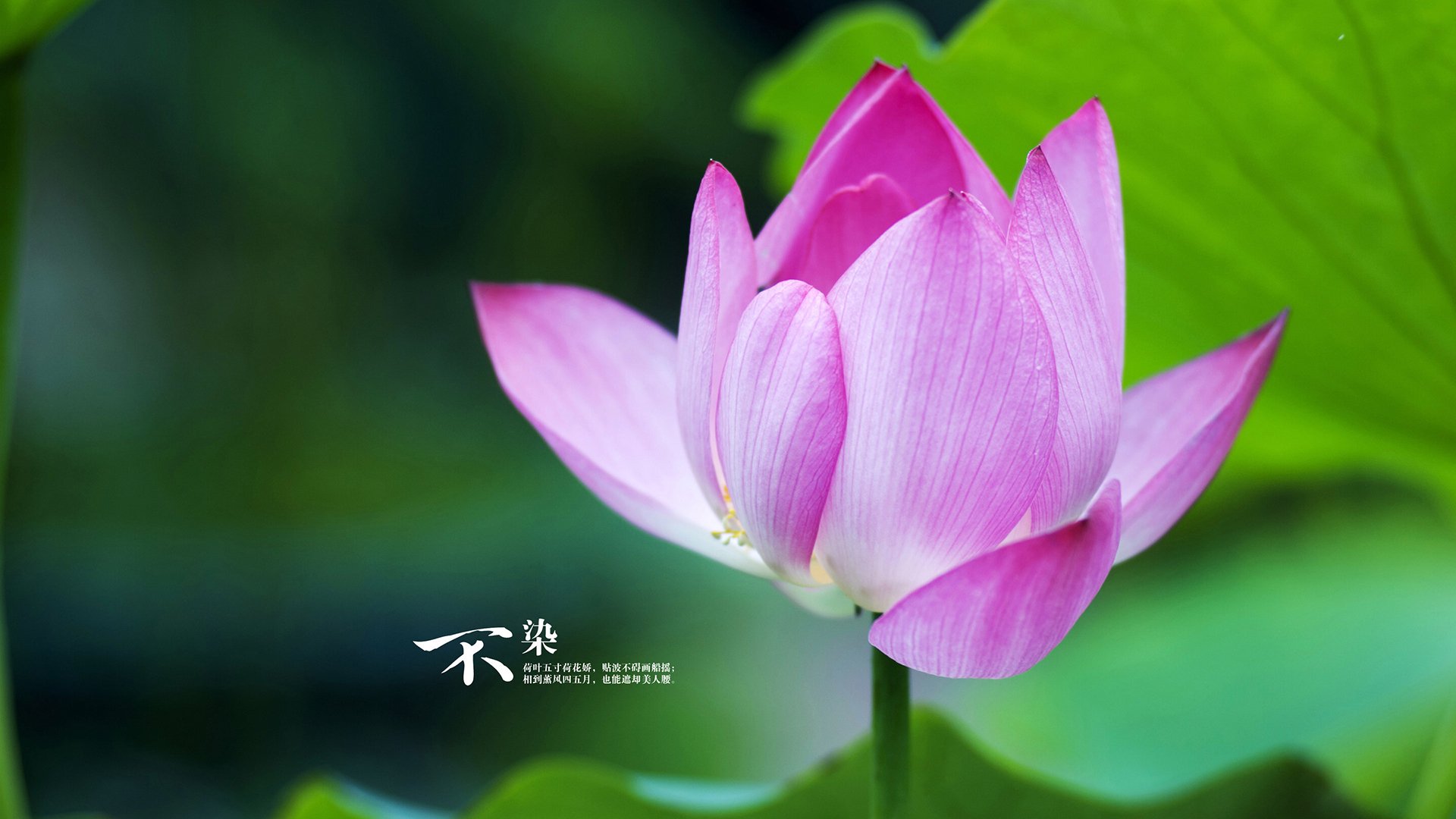 开云体育官方网站登陆-中国女篮坚持快攻与阵地战的平衡打法，中国女篮坚持快攻与阵地战的平衡打法是什么