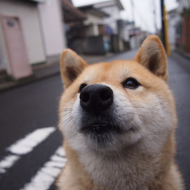 开云体育中国官网-中超赛季数据报告公布揭示技术进步趋势，2021至2022赛季中超各队情况