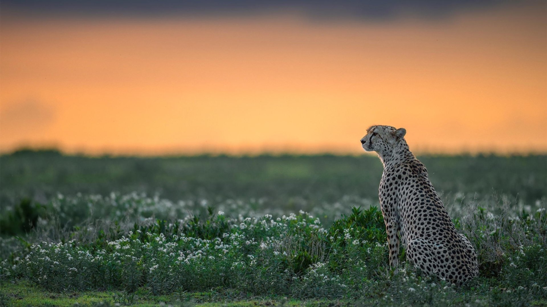 开云全站下载-全运会纪念品设计比赛面向大众征集，全运会纪念品设计比赛面向大众征集活动