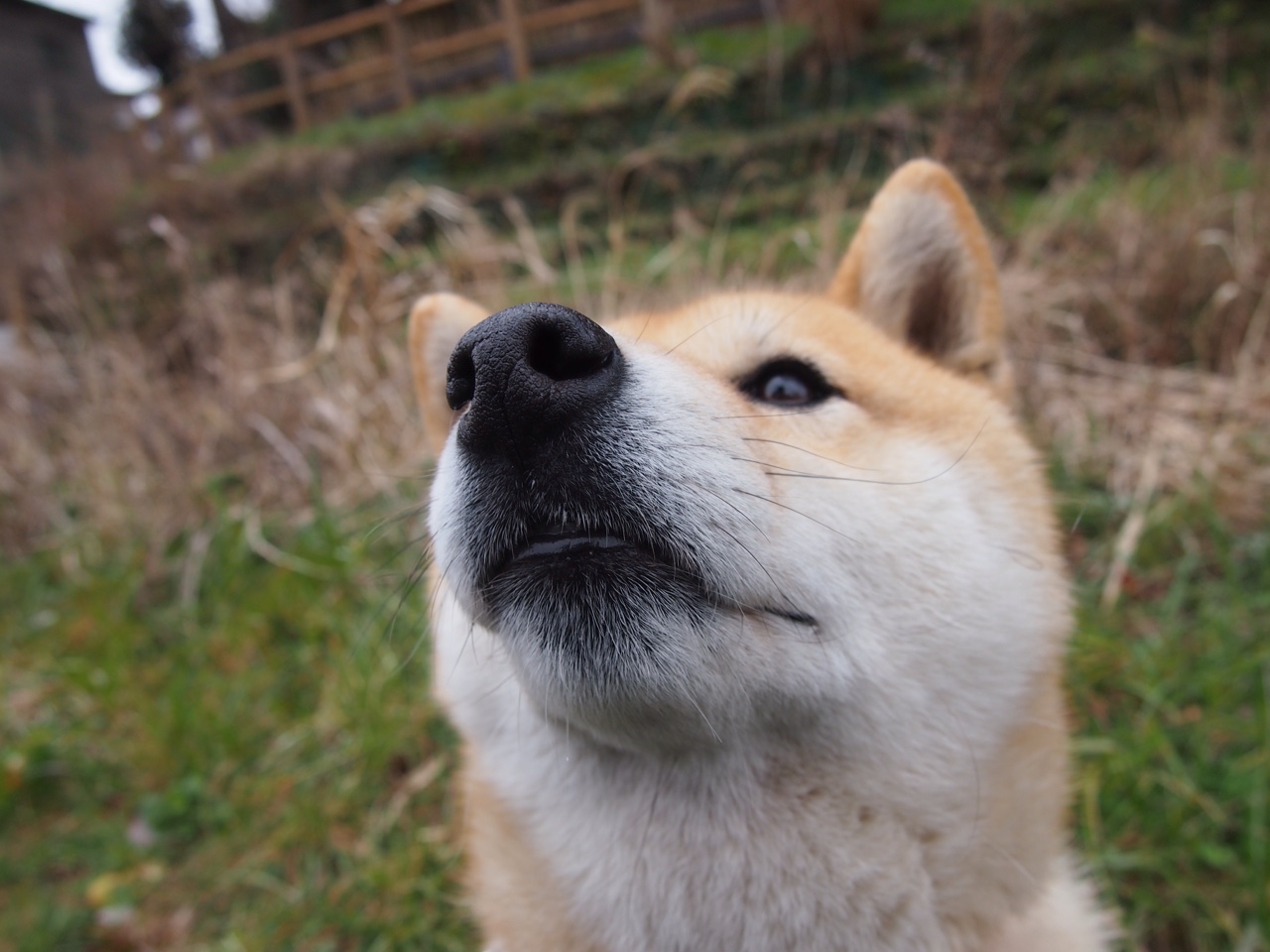 开云体育官方入口-斯图加特围绕核心进攻策略持续优化，斯图加特历史