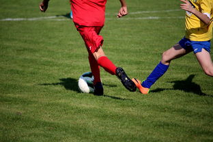 开云 官网 入口-羽毛球国家队封闭训练专注体能与反应，羽毛球国家队是怎么训练的