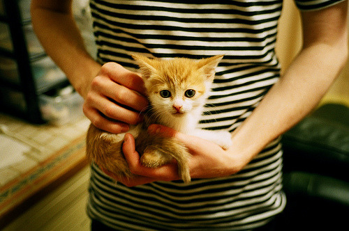 开云体育网站入口-辽宁飞豹节奏掌控出色有效控制比赛走势，辽宁飞豹官网视频直播  第2张