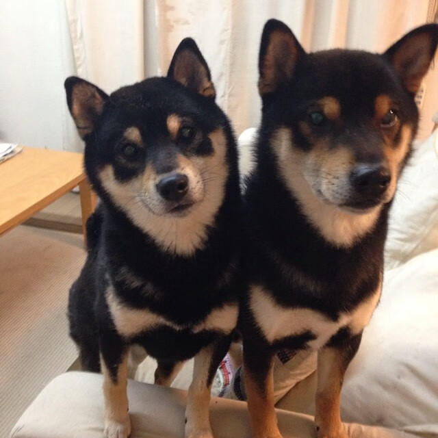 开云网页-“胡利安·门德斯：阿根廷美洲狮队的快速突破者，未来崭露头角”  第3张