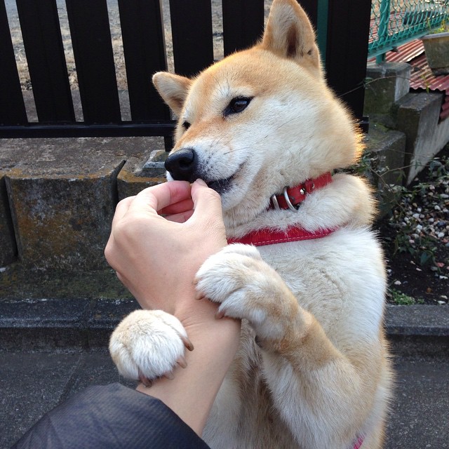 开云综合服务-中国篮协加强联动高校为篮球科研发展提供制度保障,高校篮球联赛