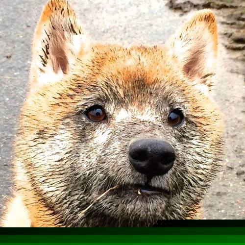 开云体育官方网站登陆-国际足球创新联盟成立,推动技术创新与行业标准提升,国际足联创办的比赛有