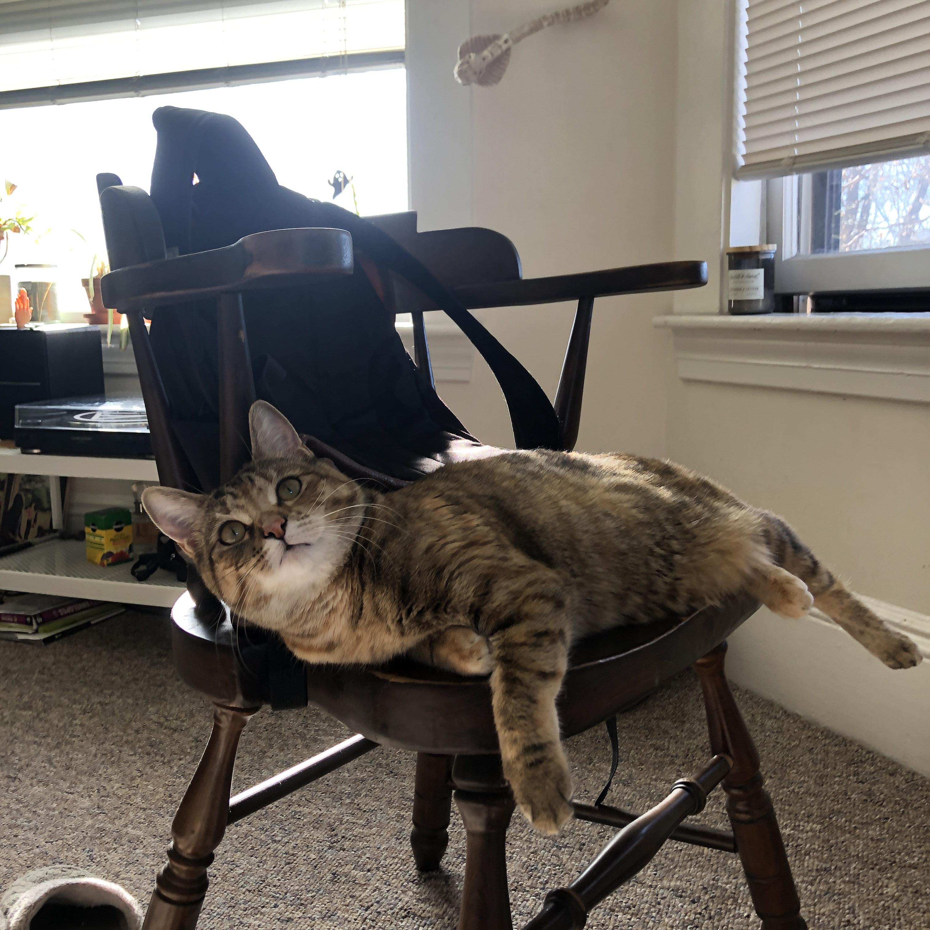 开云官网在线-曼联后防核心因伤缺阵引发担忧，曼联最强后防线