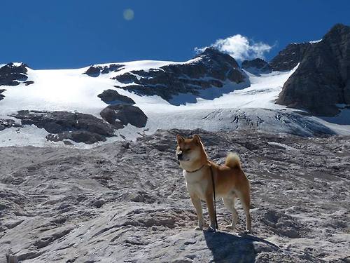 开云体育官方网入口-杰克·阿莱克西决赛表现亮眼夺冠有望，杰克 莱西