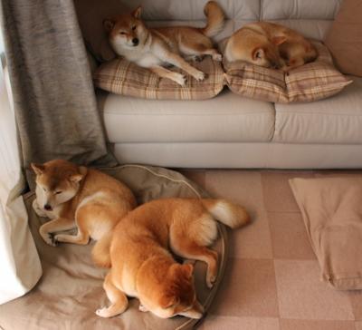 Kaiyun官方登录入口-渡边一平突破极限刷新赛会纪录，渡边一志