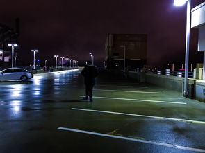 开云官网-特色足球文化在城市夜间经济中扮演重要角色，推动夜经济繁荣，大城市经营足球俱乐部的优势