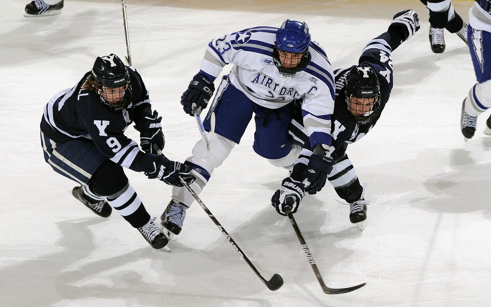 体育文化影响全球，体育文化全球化对全球体育发展带来了哪些影响